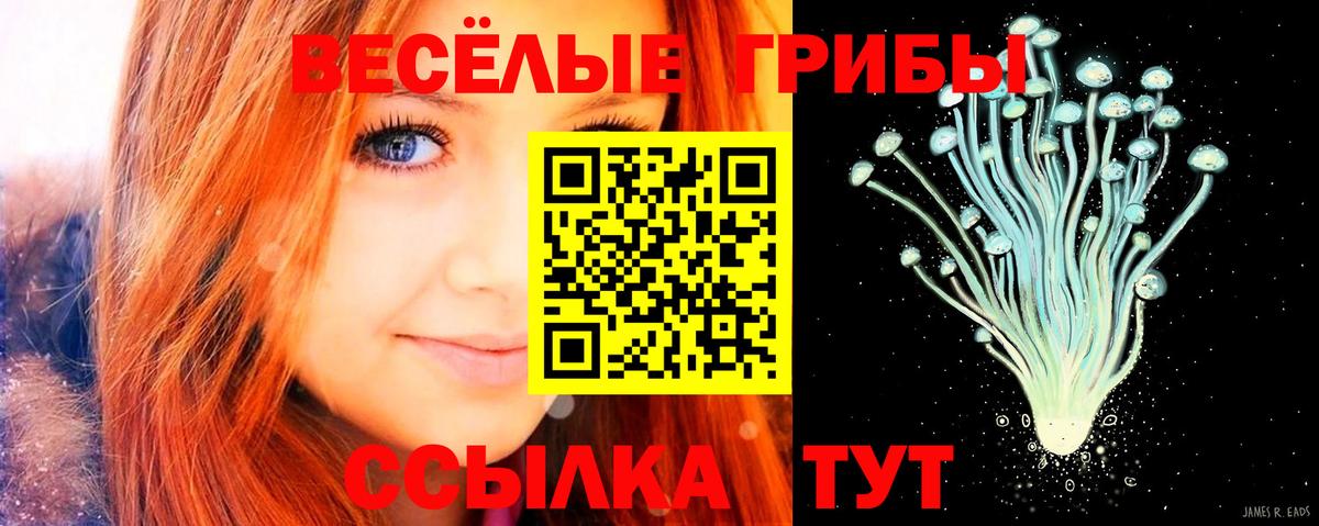 купить наркоту  Вход с VPN  Галлюциногенные грибы Cubensis  Владимир  Псилоцибиновые грибы Cubensis 